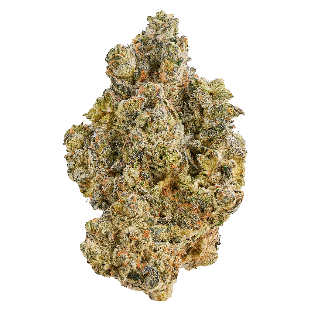 La Bomba